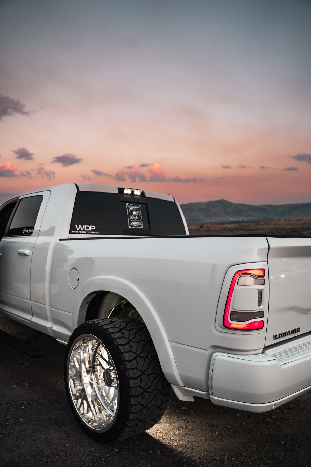 WDP DECAL