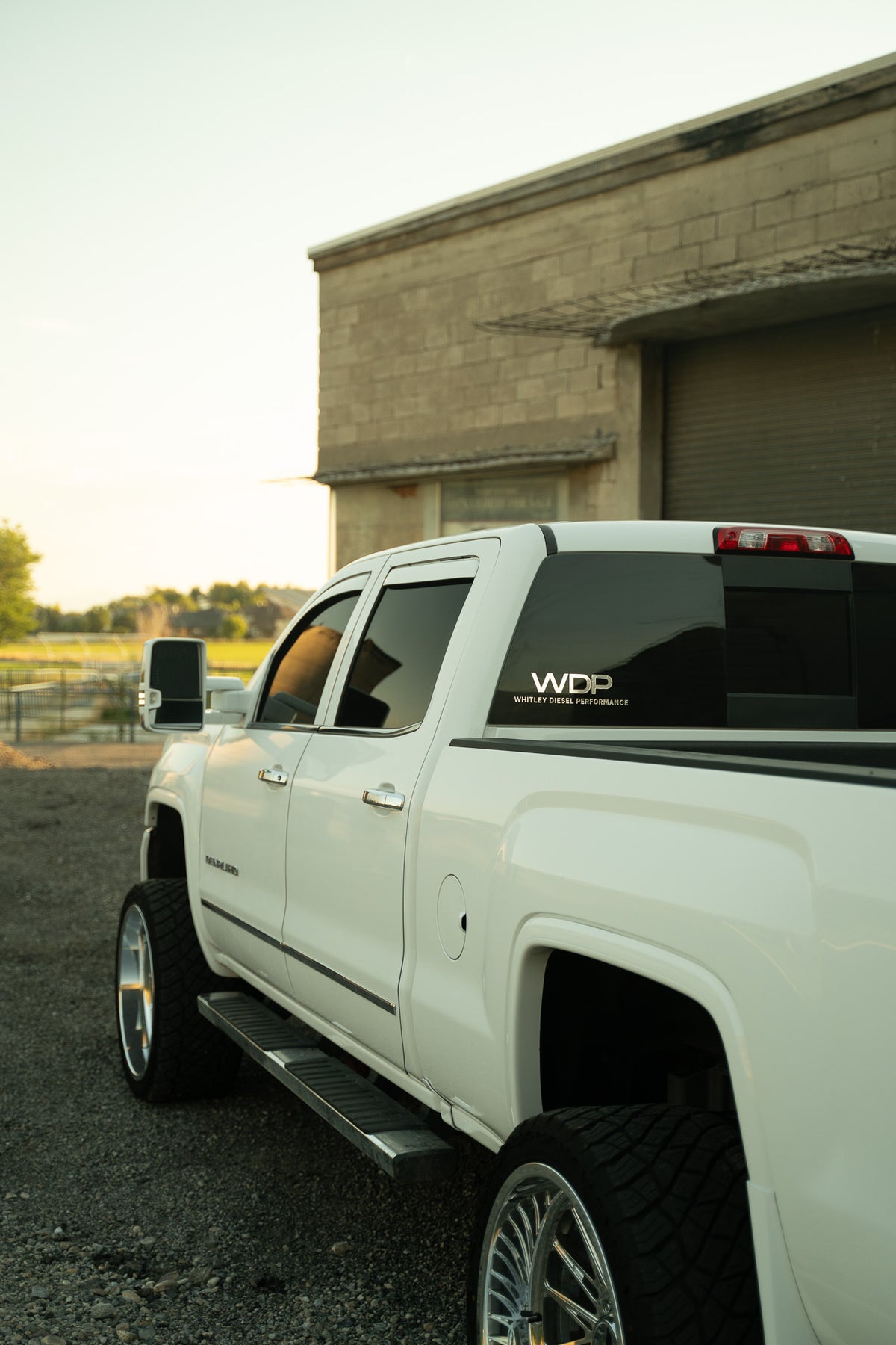 WDP DECAL